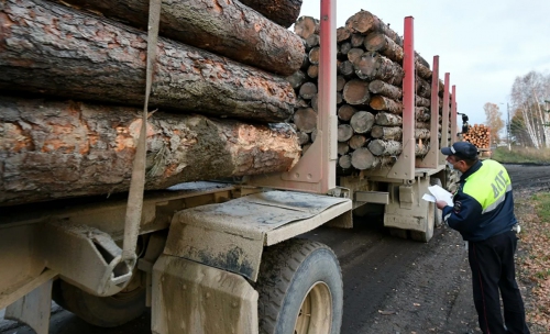 Трутнев: Повышение пошлины на экспорт леса приведёт к 100%-й обработке древесины В РФ