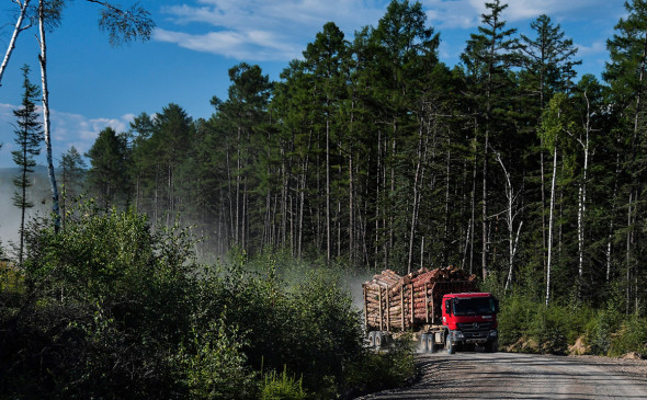 Минпромторг предупредил о рисках создания госкомпании по экспорту леса