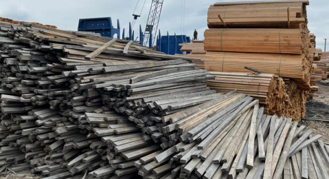 Сибирская оперативная таможня пресекла контрабанду древесины на 150 млн рублей
