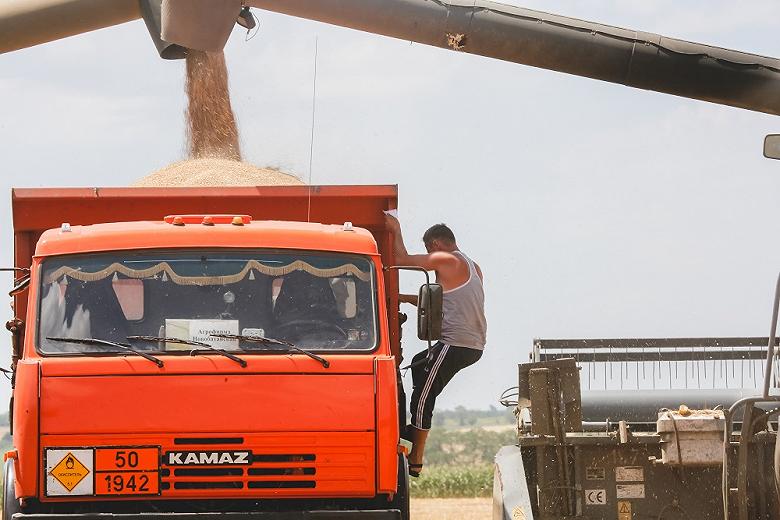 В России подсчитали потери аграриев от плавающей зерновой пошлины
