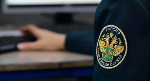 Новосибирские таможенники возбудили 6 уголовных дел в отношении фиктивных директоров