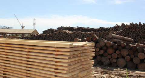 Порядка 4,5 млн кубометров древесины перевезли по новым правилам в РФ с начала года