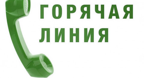 В ФТС России начали работать «горячие линии» по вопросам функционирования пунктов пропуска