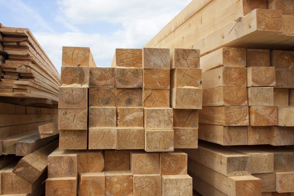 Система учета древесины помогла выявить контрабанду леса из Приморья на 250 млн рублей
