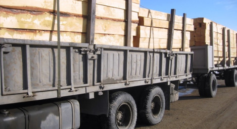 Мобильные группы СТУ не позволили незаконно вывезти из России 4,3 тысячи тонн леса