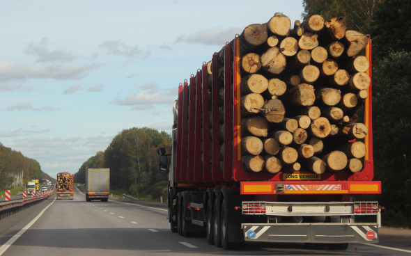 Запрет на экспорт дерева: подешевеют ли стройматерилы