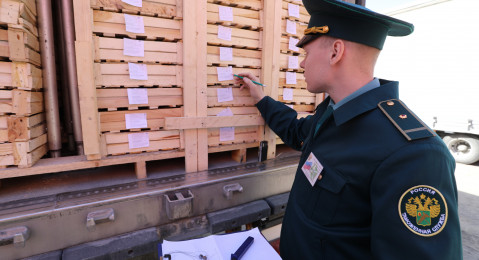 Бесперебойность поставок продовольственных товаров обсудили в рамках выездного совещания на Новосибирском западном таможенном посту