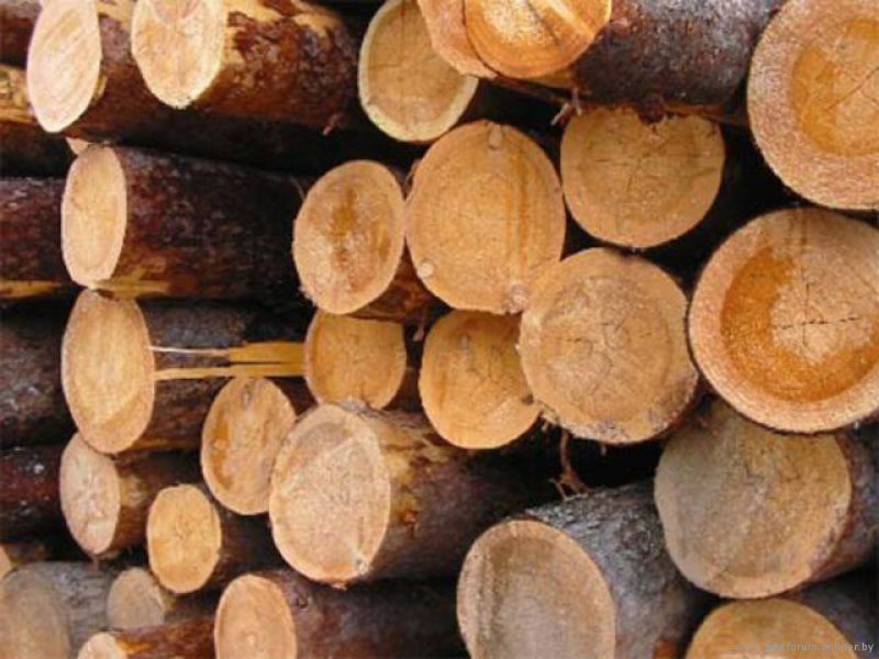 Внесены изменения в ТН ВЭД ЕАЭС в отношении отдельных видов древесины