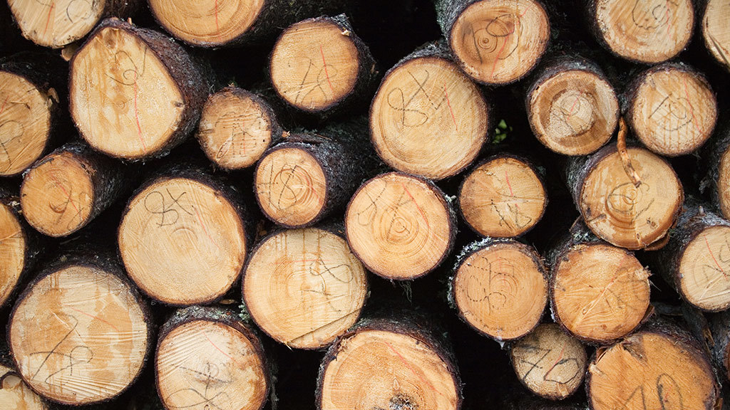 ФАС хочет заставить экспортеров леса торговать на бирже