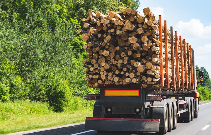 Расширен перечень пунктов пропуска для вывоза из РФ отдельных видов древесины автотранспортом